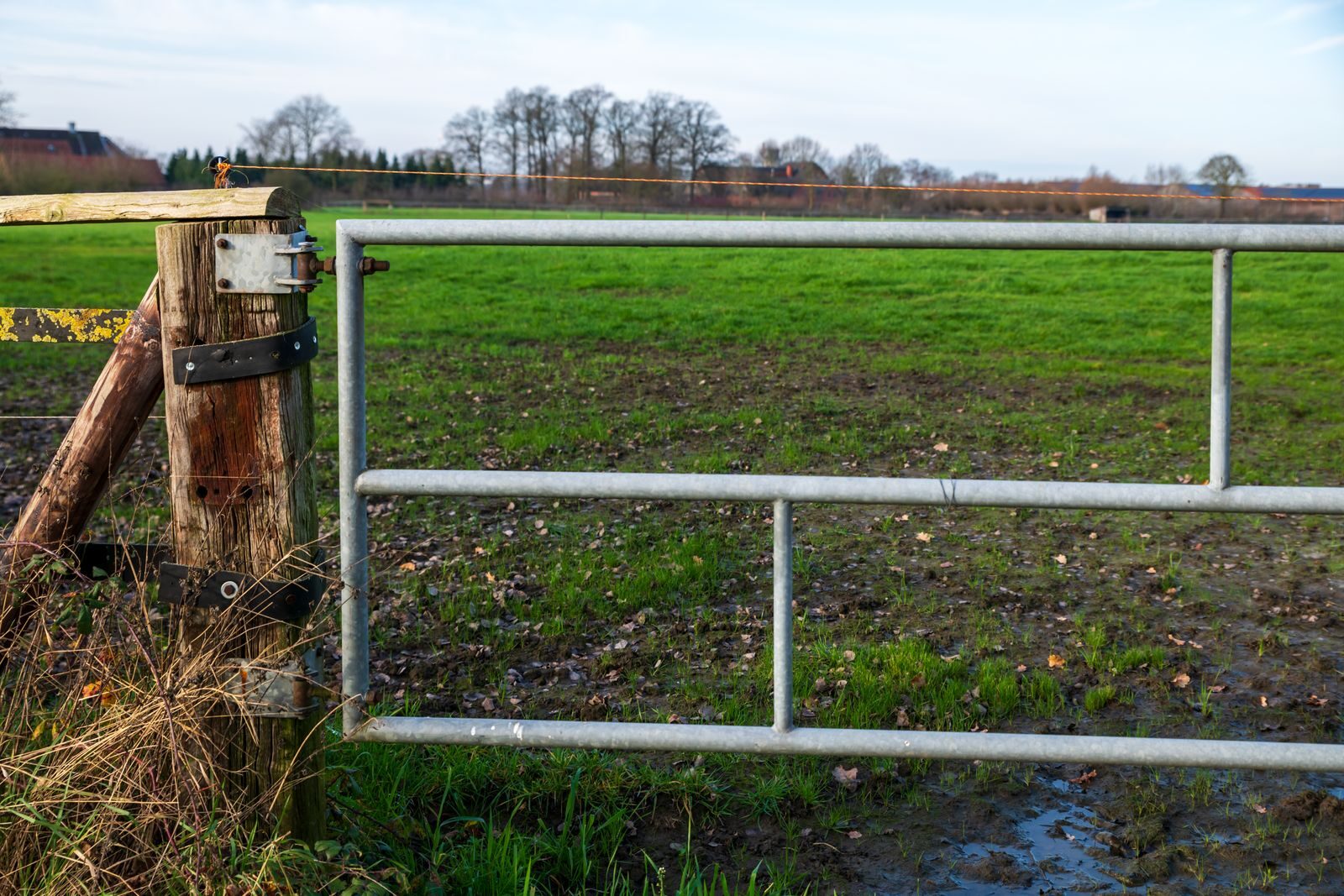 Galvanised farm gate hung on a timber strainer post beside a wet paddock