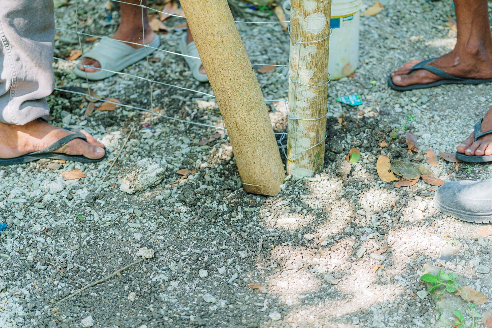 Timber fence post being set with wire on a gravel fence line during installation